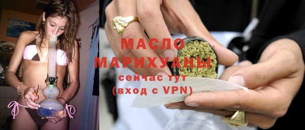 spice Инта