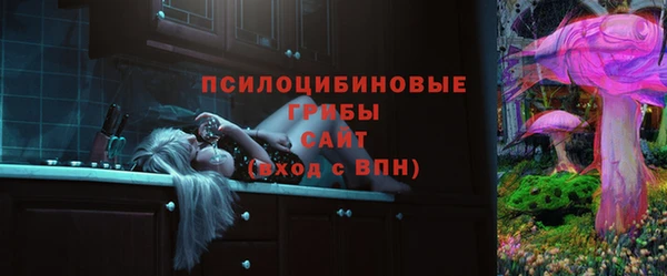 spice Инта