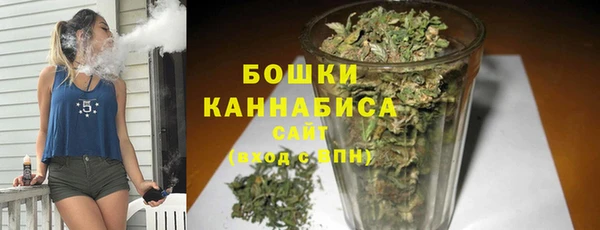 spice Инта