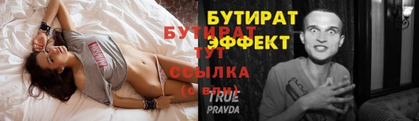 spice Инта