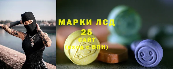 spice Инта