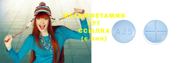 spice Инта