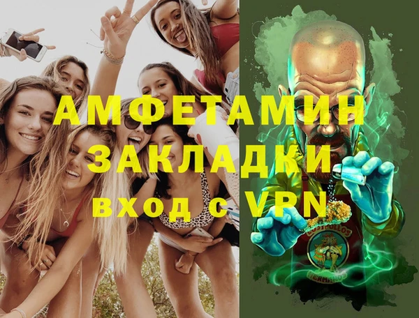 spice Инта