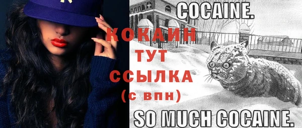 первитин Инсар