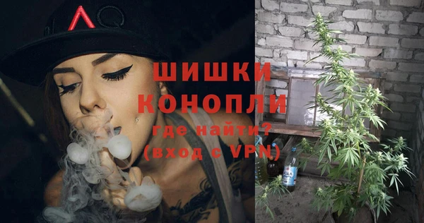первитин Инсар