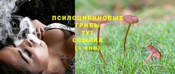 первитин Инсар