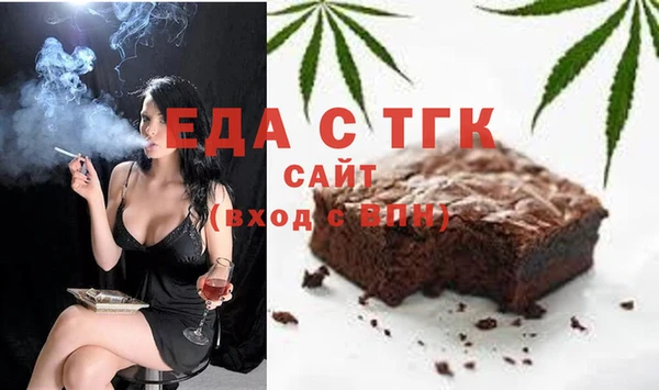 spice Инта