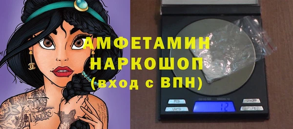 spice Инта
