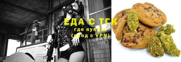 spice Инта